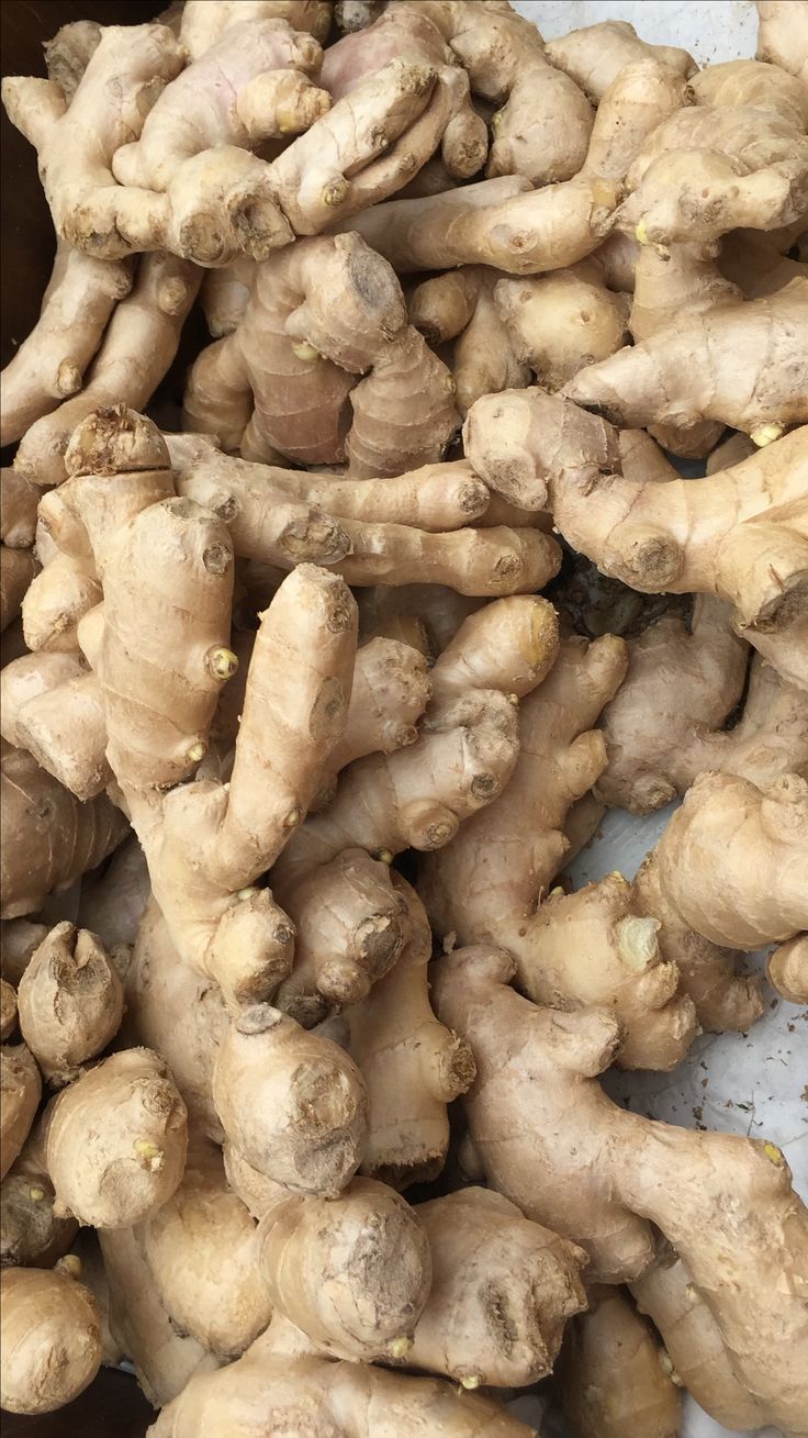 Fresh ginger root